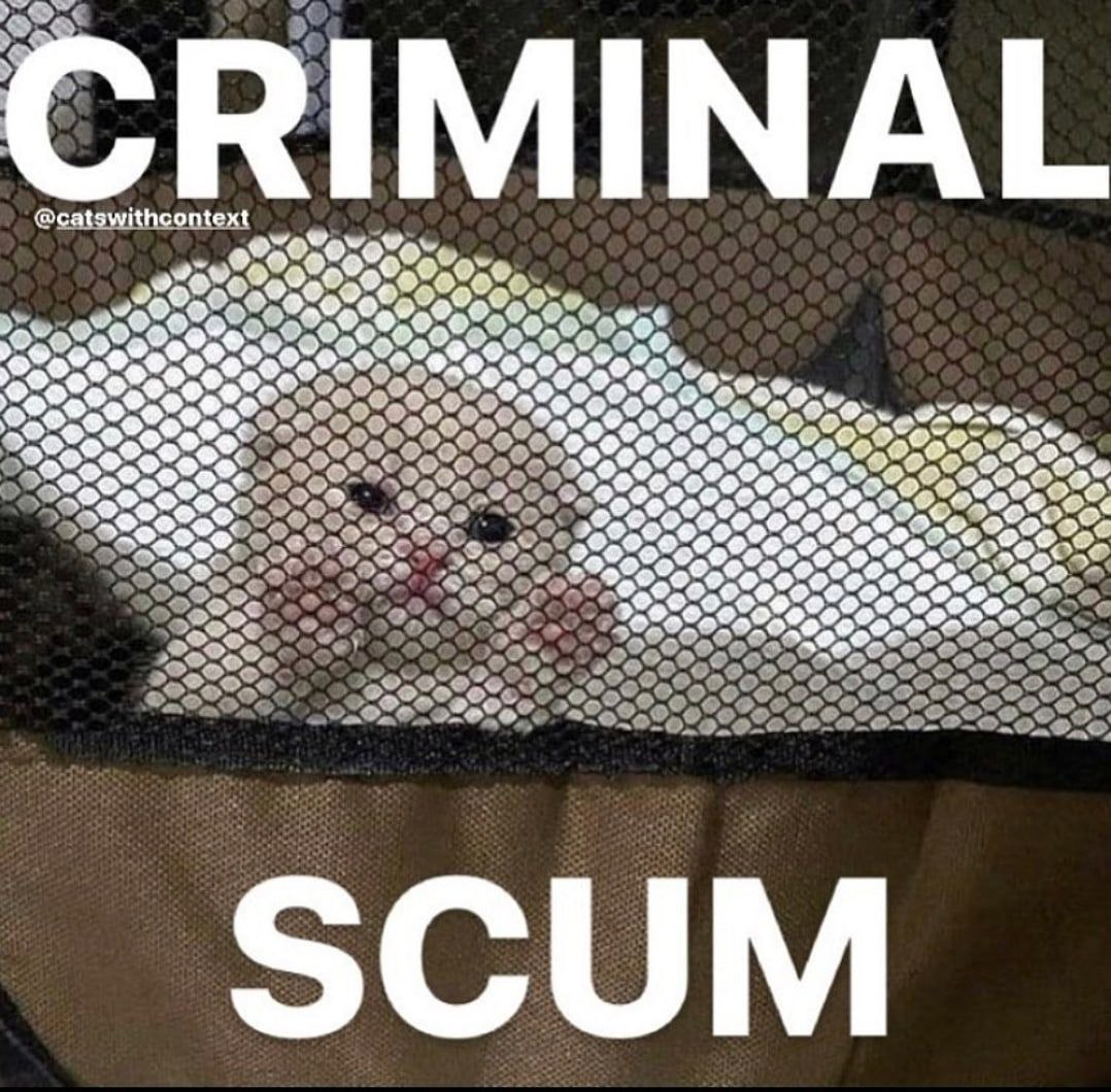 Крысолюб, 26 лет, Ставрополь