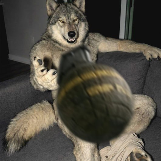 koschka_v_masle, 26 лет, Курск