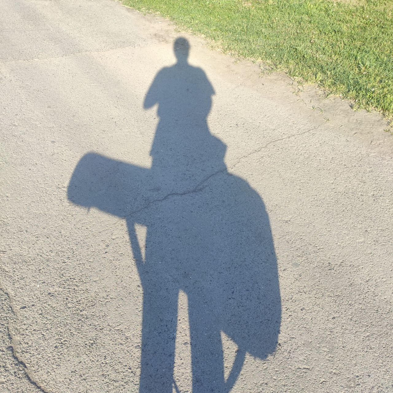 А, 23 лет, Ростов-на-Дону