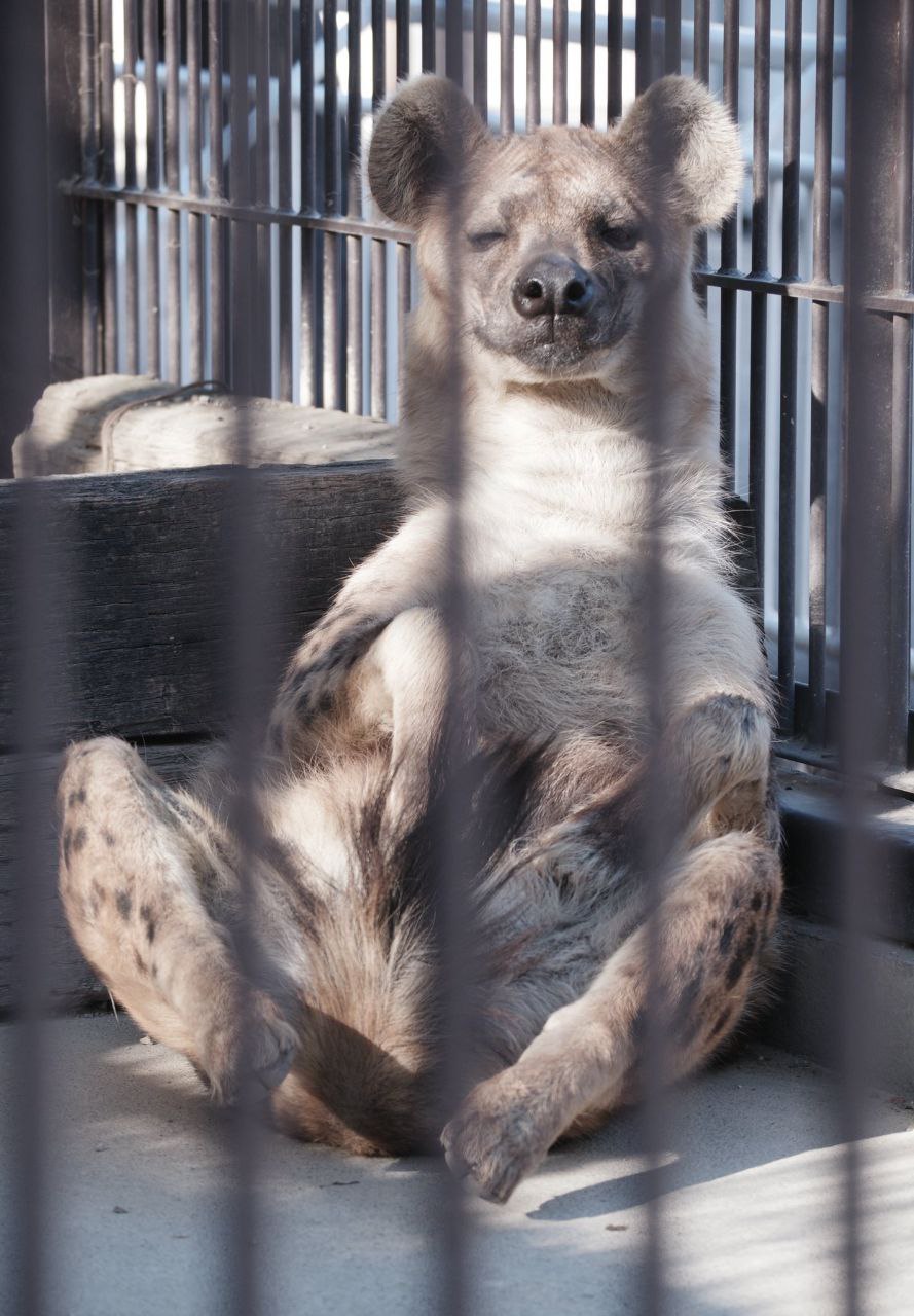 Алекс, 23 лет, Биробиджан