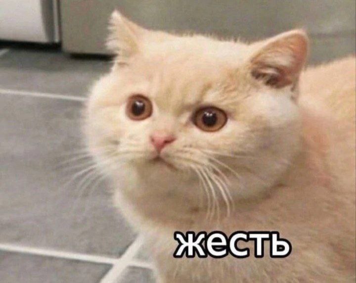 Лиза, 19 лет, Москва