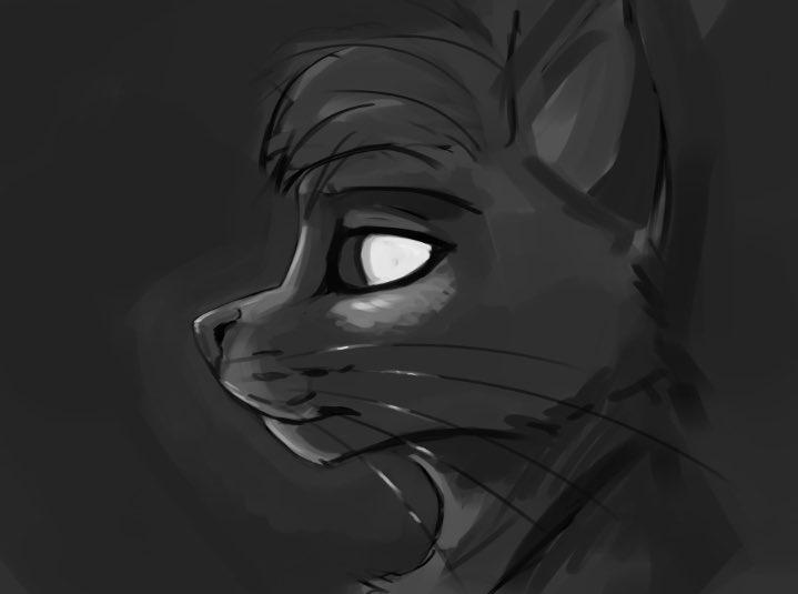 Bubbastis, 28 лет, Санкт-Петербург