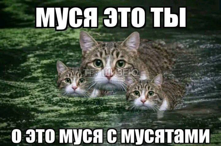 астри, 17 лет, Москва