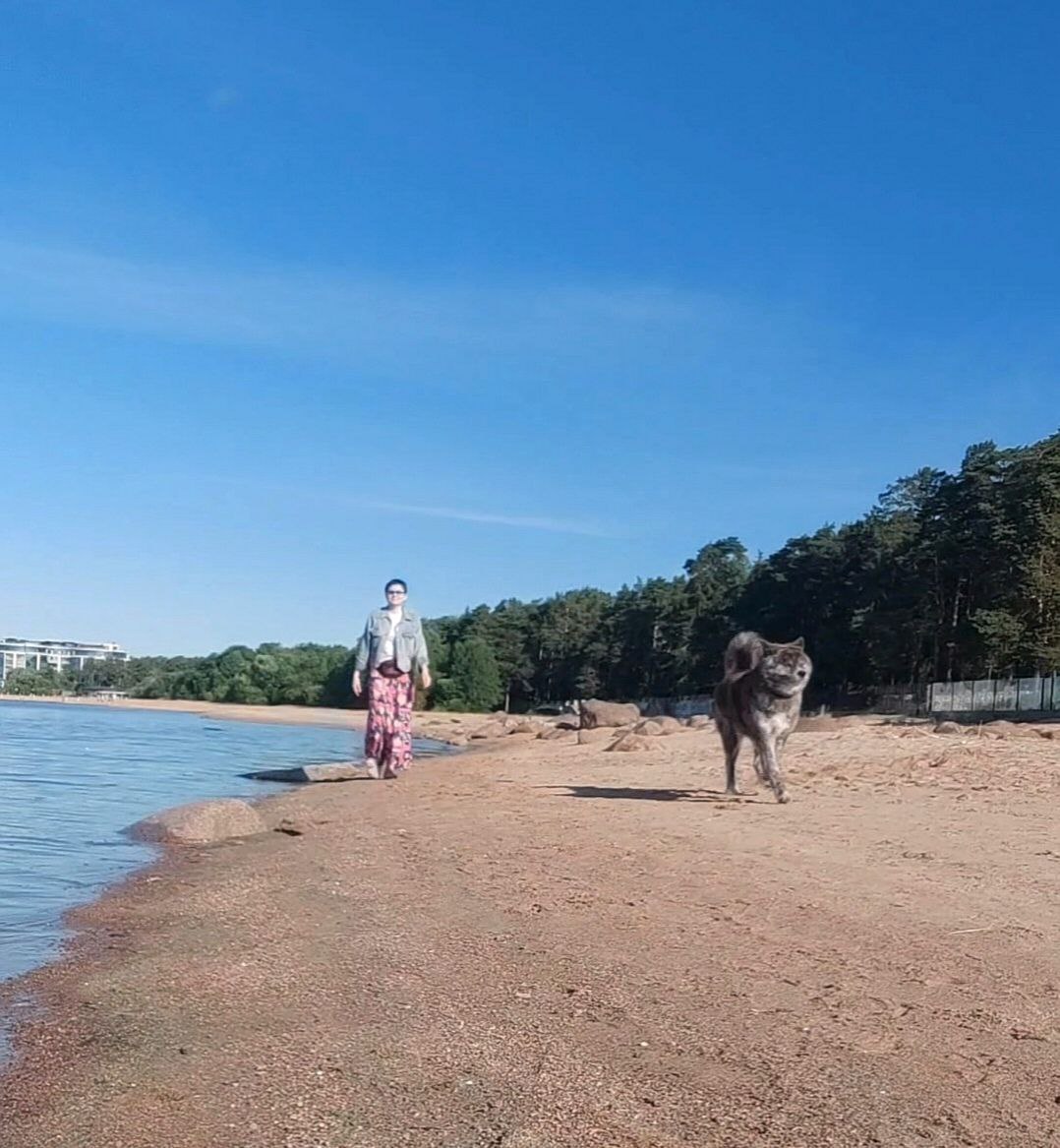 Наталья, 49 лет, Санкт-Петербург