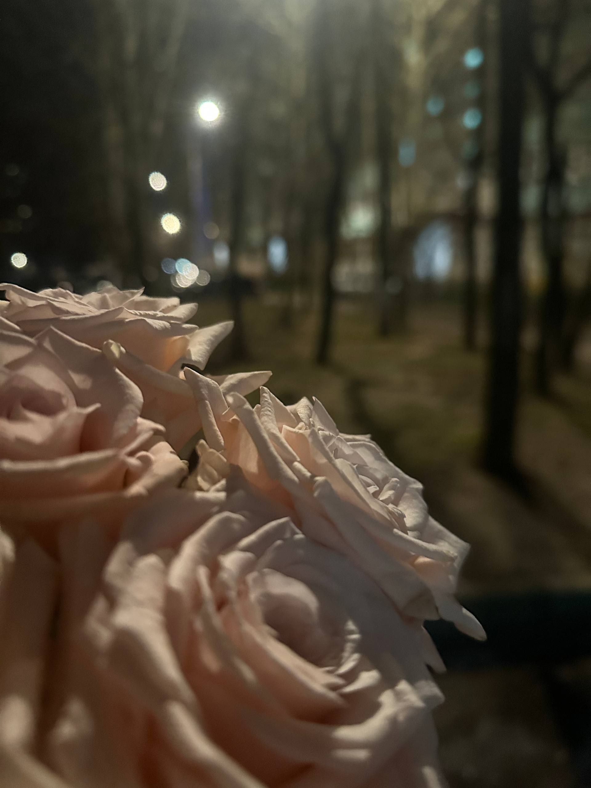 Dewk, 18 лет, Москва