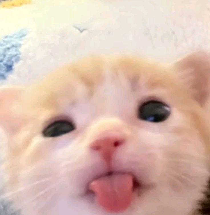 Simon, 18 лет, Череповец