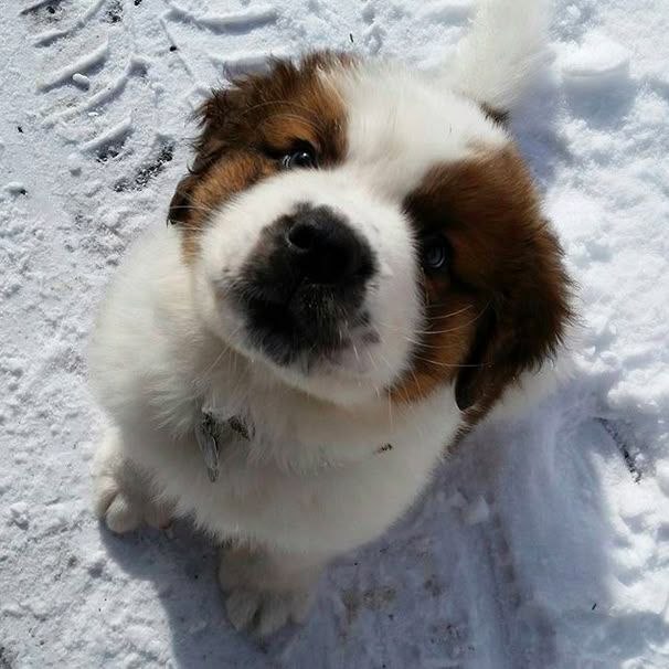 F1elicia9_AM, 17 лет, Томск