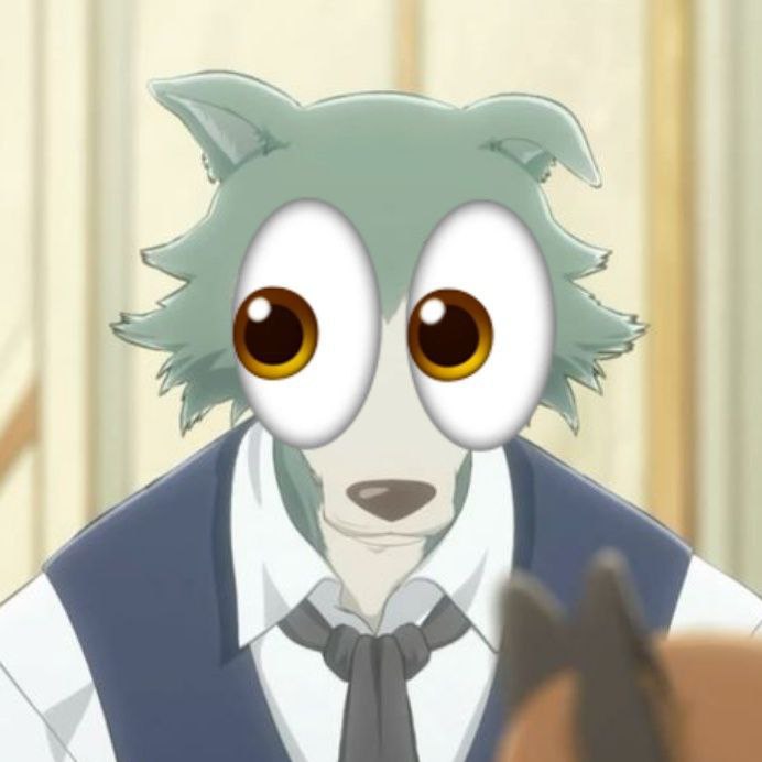 may_borowskifan, 16 лет, Казань