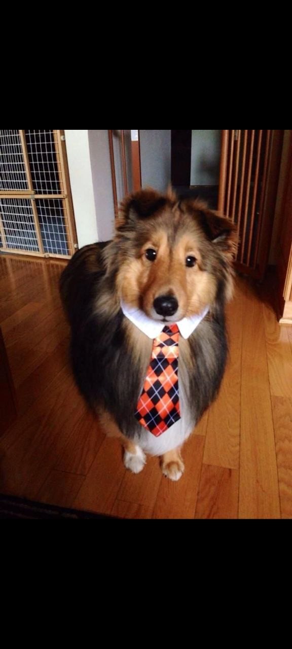 Женя, 19 лет, Екатеринбург