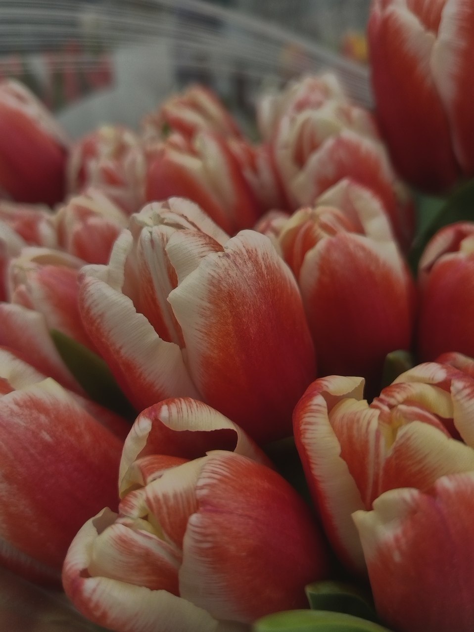 M9op04820, 18 лет, Рязань