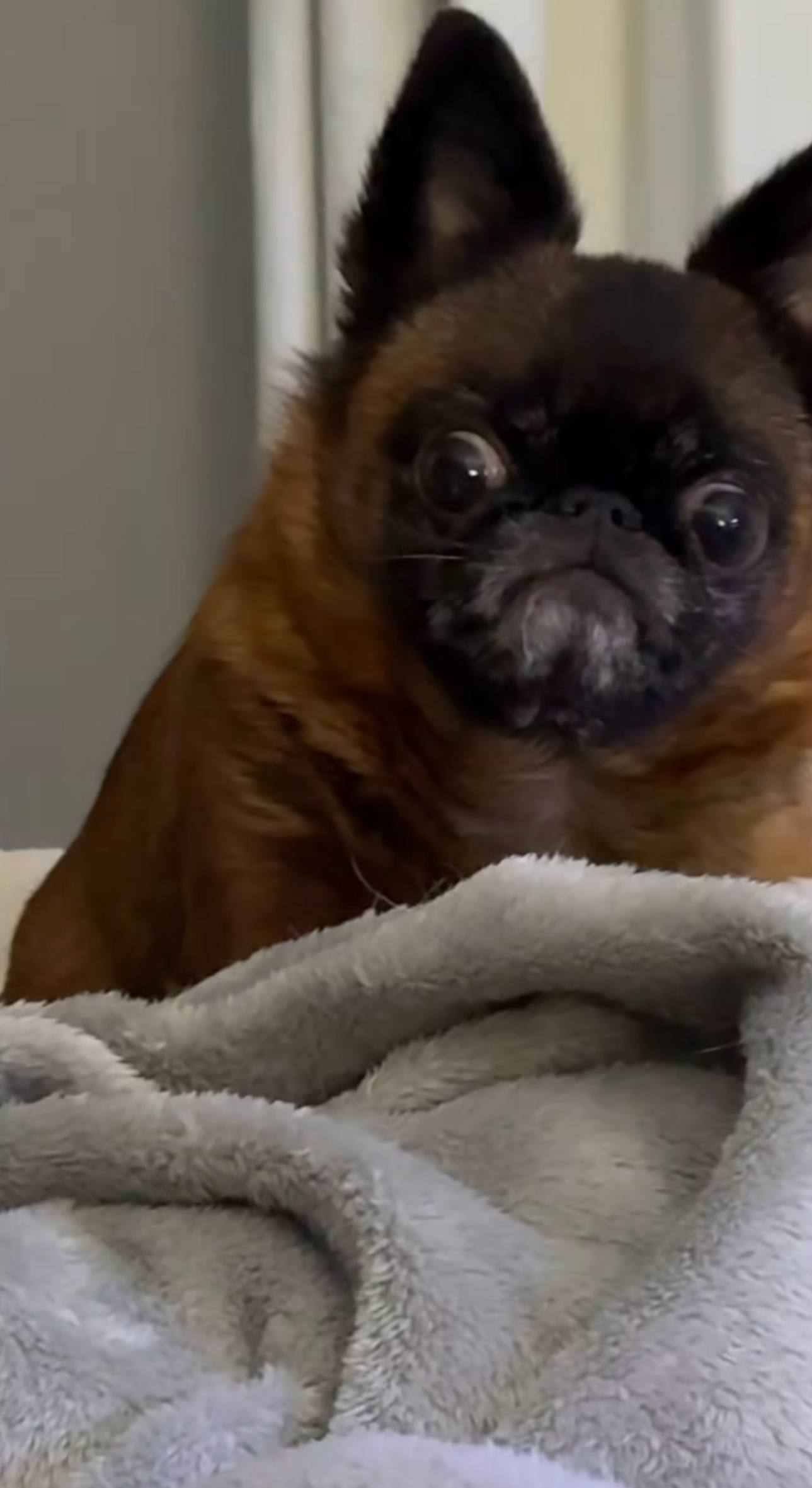 Женя, 24 лет, Благовещенск